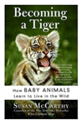 Becoming A Tiger