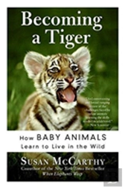 Becoming A Tiger