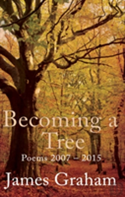 Bertrand.pt - Becoming A Tree