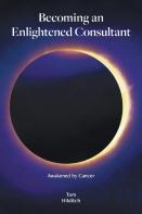 Becoming An Enlightened Consultant