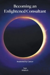 Becoming An Enlightened Consultant