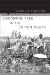 Becoming Free In The Cotton South