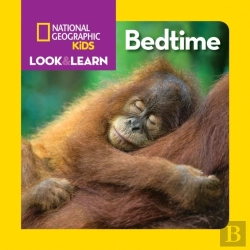 Bertrand.pt - Bedtime