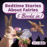 Bedtime Stories About Fairies