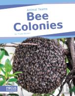 Bee Colonies