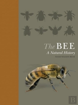Bertrand.pt - Bee