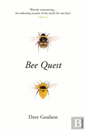 Bee Quest