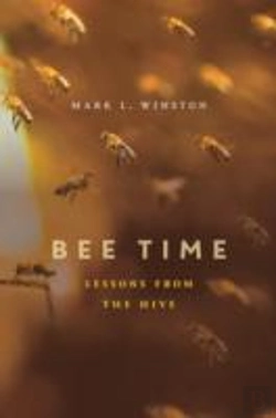 Bertrand.pt - Bee Time