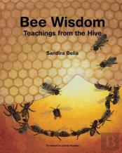 Bee Wisdom - Teachings From The Hive