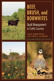 Beef, Brush, And Bobwhites