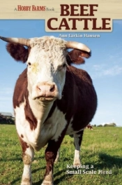 Beef Cattle