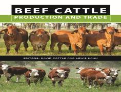Beef Cattle Production And Trade