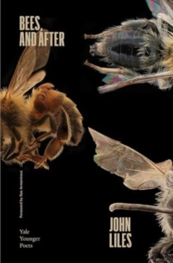 Bertrand.pt - Bees, And After