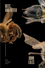 Bees, And After