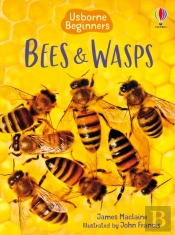 Bees And Wasps