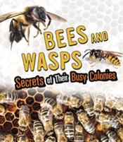 Bees And Wasps