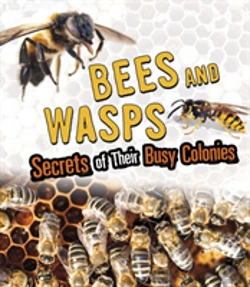 Bertrand.pt - Bees And Wasps