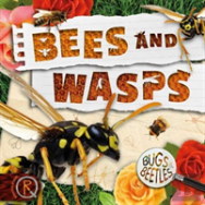 Bees And Wasps