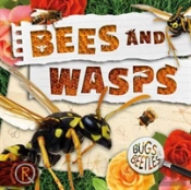Bees And Wasps