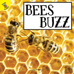 Bertrand.pt - Bees Buzz