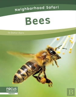 Bertrand.pt - Bees