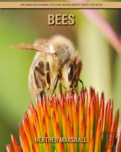 Bees
