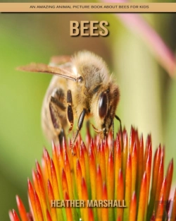 Bertrand.pt - Bees