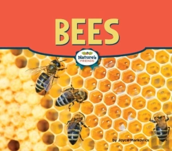 Bertrand.pt - Bees