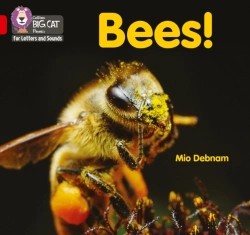 Bertrand.pt - Bees!