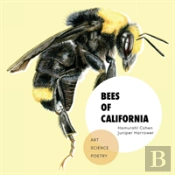 Bees Of California