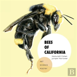 Bertrand.pt - Bees Of California