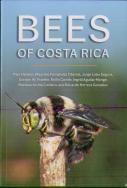Bees Of Costa Rica