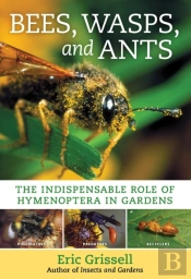 Bees, Wasps, And Ants