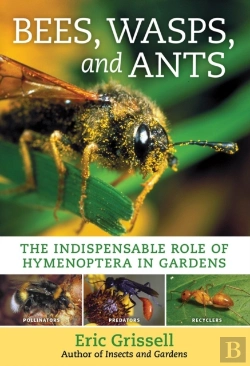 Bertrand.pt - Bees, Wasps, And Ants