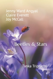 Beetles & Stars