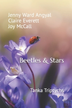 Bertrand.pt - Beetles & Stars