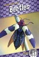 Beetles