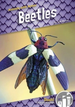 Bertrand.pt - Beetles