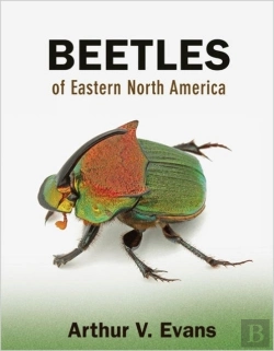Bertrand.pt - Beetles Of Eastern North America