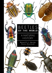 Beetles Of The World