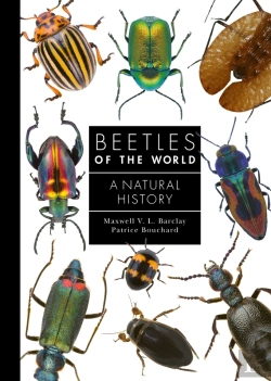 Bertrand.pt - Beetles Of The World