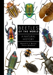 Beetles Of The World