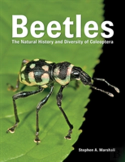 Bertrand.pt - Beetles