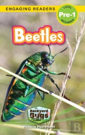 Beetles