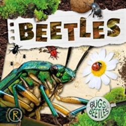 Bertrand.pt - Beetles