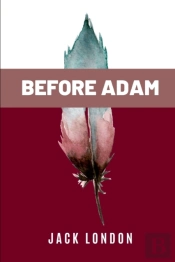 Before Adam