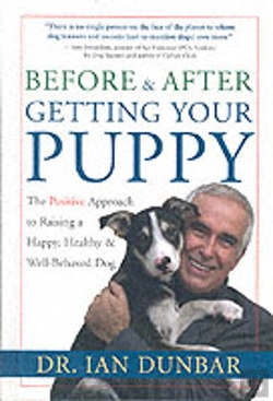 Bertrand.pt - Before And After Getting Your Puppy