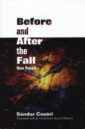 Before And After The Fall