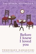 Before I Knew I Loved You