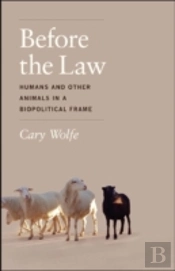 Before The Law
